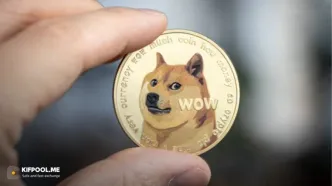 پیش‌بینی قیمت دوج کوین (DOGE)؛ آیا هدف قیمتی ۱ دلار در دسترس است؟