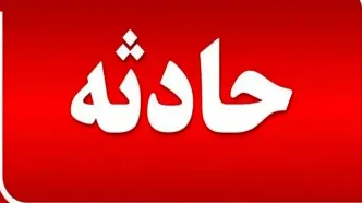 اخبار حوادث/ سقوط یک هواپیما