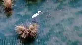 فیلم چشم‌انداز خیره‌کننده رود ارس