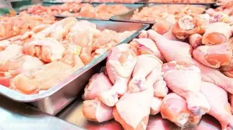 قیمت انواع گوشت مرغ بسته‌بندی و قطعه‌بندی اعلام شد