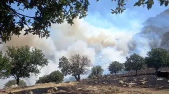 ۱۳ هکتار مراتع جنگلی گیلانغرب در آتش سوخت