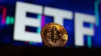 صندوق‌های ETF بیت‌کوین ۶ برابر تولید ماینرها خرید کرده‌اند؛ بازار در آستانه جهش؟