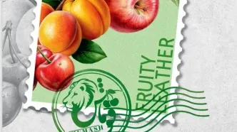 «قوماش» انتخاب اول شما برای لواشک و ترشک با کیفیت