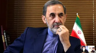 پیام مهم مشاور رهبر انقلاب به ولایتی به چینی‌ها