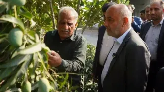 بررسی اتصال کشاورزان هرمزگان و کرمان در جهت ساخت زنجیره تامین و ارزش
