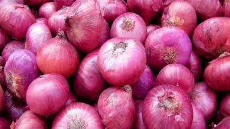 افزایش ۳۰درصدی قیمت پیاز و گوجه فرنگی