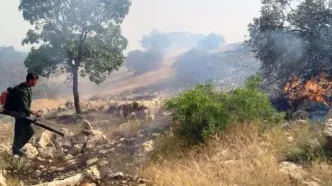 ۱۰ هکتار از مراتع جنگلی گیلانغرب در آتش سوخت
