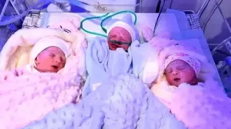 ثبت ۳۸ هزار واقعه ولادت چند قلوزایی در سال ۱۴۰۳