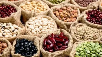 دلیل گرانی عجیب حبوبات مشخص شد