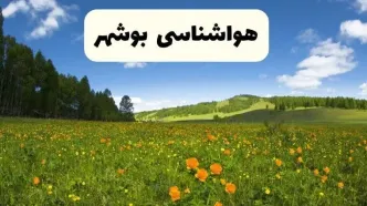 پیش‌بینی دقیق هواشناسی بوشهر فردا دوشنبه ۲۲ اردیبهشت ۱۴۰۴ | وضعیت آب‌ و هوا بوشهر در ۲۴ ساعت آینده + هواشناسی شهرستان های بوشهر