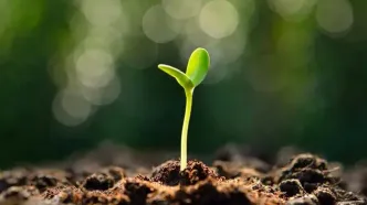 تفال به حافظ دوشنبه ۲2 اردیبهشت ۱۴۰۴؛  بیا تا گل برافشانیم و می در ساغر اندازیم.....