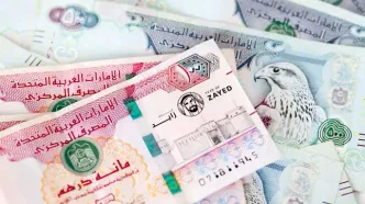 قیمت درهم امارات امروز دوشنبه ۲۲ اردیبهشت ۱۴۰۴؛ درهم ریخت