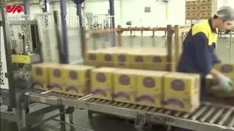 کالابرگ، بازار را دچار کمبود روغن خوراکی کرد!