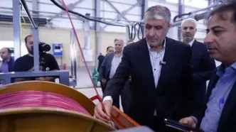 مرکز پرتودهی قزوین وارد فاز صنعتی شد