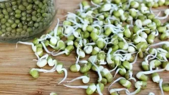 بمب ویتامین و پروتئین را بشناسید