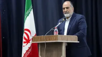 رونق سینمای محلی، گسترش سرمایه فرهنگی