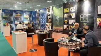 سینمای ایران در بازار کن ۲۰۲۵/ از رایزنی‌های جهانی تا نگاه ویژه به غزه