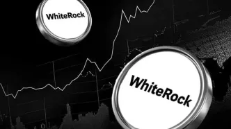 جهش ۵۶ درصدی WHITE؛ آیا وایت‌راک آماده ورود به باشگاه ۱ میلیارد دلاری است؟