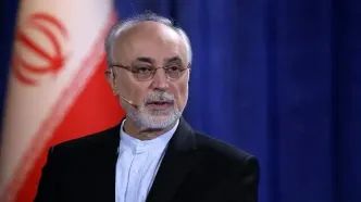 صالحی: نام ‎خلیج فارس ریشه در بیش از دو هزار سال تاریخ مکتوب و دانش جهانی دارد