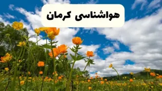 جدیدترین پیش بینی وضعیت آب و هوا کرمان فردا شنبه ۲۰ اردیبهشت ۱۴۰۴ | هواشناسی کرمان در ۲۴ ساعت آینده