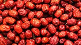 محافظ کبد در برابر چربی و التهاب؛ تازه بخوریم یا خشک؟