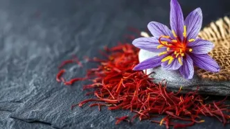 قیمت زعفران سر به فلک کشید (۳ خرداد)