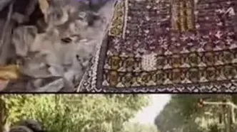 شاهرخ استخری: من ۱۵ سال پیش برای سریال فاصله‌ها ماهی ۱۶ هزار دلار گرفتم..