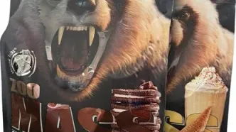 مکمل مس گینر زوماد لبز اصل