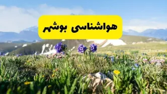 اخبار پیش‌بینی هواشناسی بوشهر فردا چهارشنبه ۷ خرداد ۱۴۰۴ | هواشناسی بوشهر فردا هفتم خرداد ماه | پیش‌بینی آب‌وهوای استان بوشهر در ۲۴ ساعت آینده