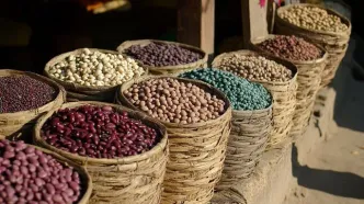 قیمت لوبیا چیتی در بازار بلوا به پا کرد
