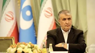 اسلامی: آژانس در سال ۲۰۲۴ بیش از ۴۵۰ بازرسی انجام داد