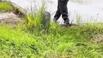 واکنش آموزش و پرورش به زخمی شدن مدیر یک مدرسه دخترانه / خانواده یک دانش آموز به او حمله کرده بودند