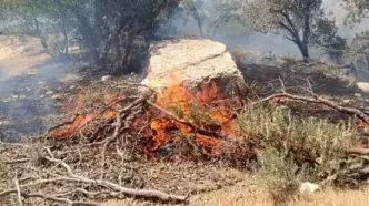 آتش‌سوزی در آرادکوه بعد از ۲ روز مهار شد