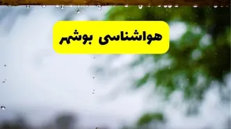 هواشناسی بوشهر شنبه ۲۷ اردیبهشت ۱۴۰۴ | پیش بینی وضعیت آب و هوا بوشهر فردا ۲۷ اردیبهشت ۱۴۰۴