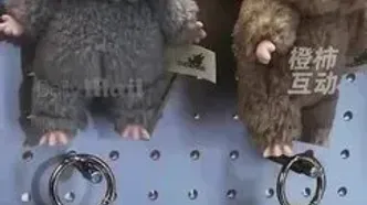 قتل بخاطر عروسک لابوبو