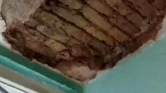 توضیح دانشگاه تهران در خصوص ریزش سقف یکی از خوابگاه‌ها