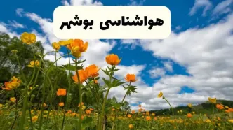 پیش بینی وضعیت آب و هوا بوشهر فردا پنجشنبه ۱۸ اردیبهشت ماه ۱۴۰۴ + جدول هواشناسی بوشهر ۲۴ ساعت آینده