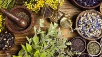معرفی داروهای گیاهی برای بهبود بیماری‌های دهان