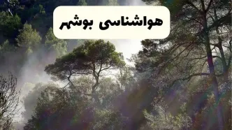 هواشناسی فوری بوشهر ۲۴ ساعت آینده | پیش بینی وضعیت آب و هوا بوشهر فردا شنبه ۱۳ اردیبهشت ماه ۱۴۰۴