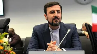 غریب‌آبادی: هیچ توقفی در غنی‌سازی را نخواهیم پذیرفت