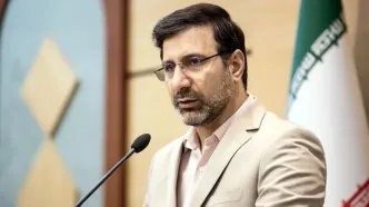 واکنش سخنگوی شورای نگهبان به اظهارات میرسلیم: تشخیص این موضوعات در صلاحیت مراجع دیگری غیر از شورا است