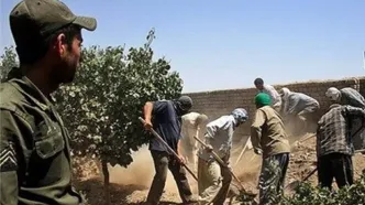 جزئیات جدید از سقوط ۸ نفر به چاه در کوهدشت + تعداد تلفات و فیلم