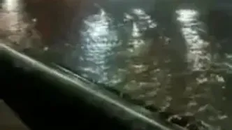 زیرگذر ۵ مردادِ تبریز بعد از بارندگی امشب شبیه استخر شد