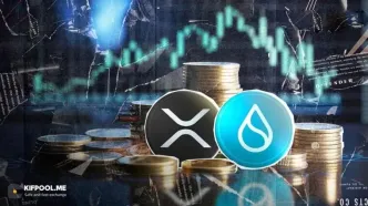 هماوردی سویی (SUI) و ریپل (XRP)؛ کدام‌یک در جذب سرمایه‌گذاری نهادهای مالی موفق‌ترند؟