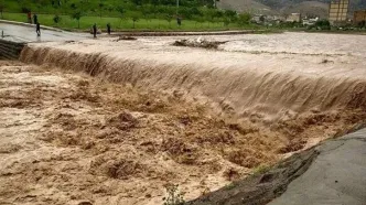 جزییات خسارت تگرگ به باغات شمال غرب کشور/ نیاز به نصب تگرگ‌شکن داریم