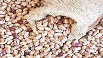 فروش لوبیاچیتی ۵۰۰ هزارتومانی تخلف است