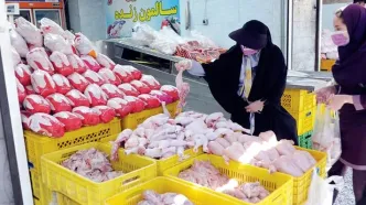 مرغ با قیمت جدید در راه بازار - ۲۳ اردیبهشت ۱۴۰۴