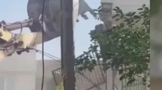 ریزش ساختمان در قیام‌دشت تهران / جان‌باختن ۳ نفر و مصدومیت یک نفر