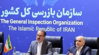 نهاد‌های آمبودزمانی جایگاه مهمی در افزایش رضایتمندی مردم از نظام اداری ایفا می‌کنند