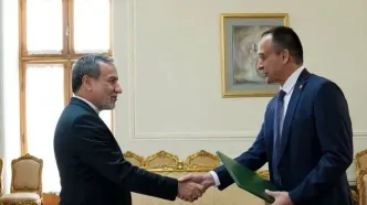 دیدار نماینده جدید فائو با عراقچی